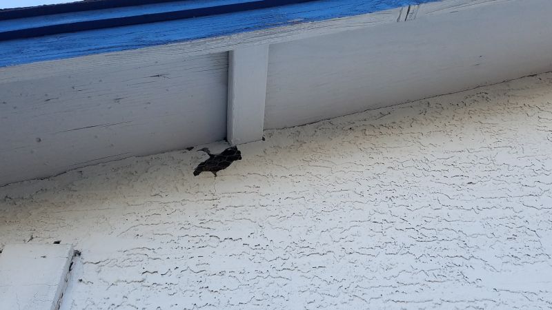 Stucco Exterior Repair